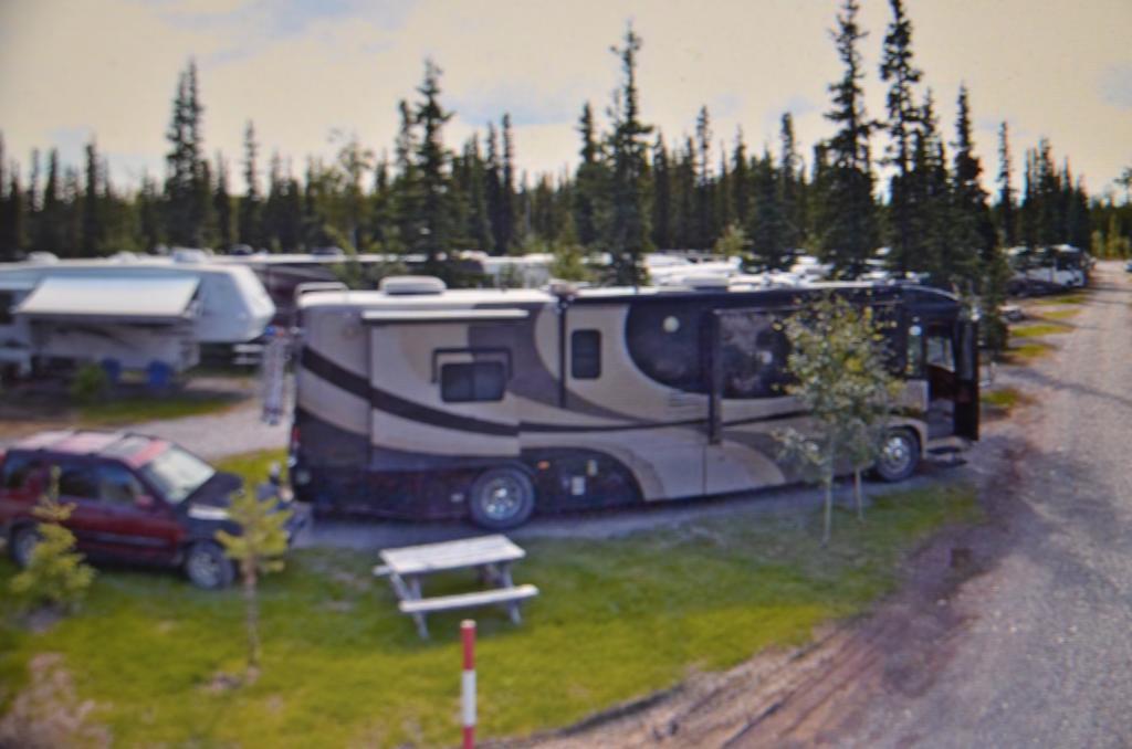 Tok Rv Village And Cabins Room photo