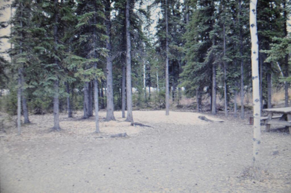 Tok Rv Village And Cabins Room photo